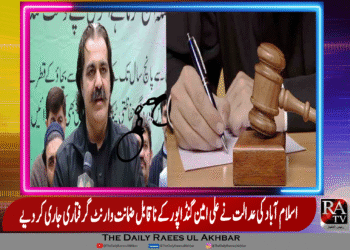 وزیر اعلیٰ خیبر پختونخوا علی امین گنڈاپور کی عدالت میں عدم پیشی پر وارنٹ گرفتاری جاری