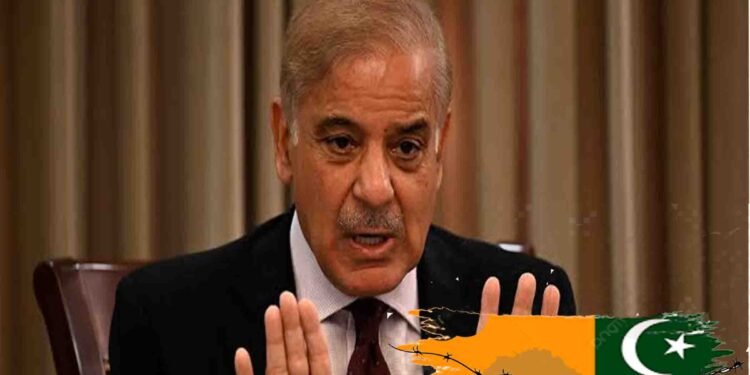 "کشمیری عوام 19 جولائی کو یومِ الحاقِ پاکستان کے موقع پر پاکستانی پرچم تھامے ہوئے"