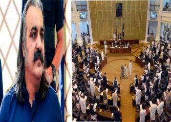 وزیر اعلیٰ خیبرپختونخوا علی امین گنڈاپور پریس کانفرنس کے دوران "ڈونکی ٹریڈنگ" کا جملہ استعمال کرتے ہوئے