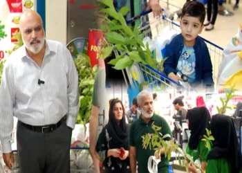 بدر منیر لاہور میں شہریوں کو مفت پودے دیتے ہوئے