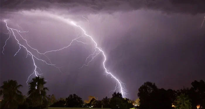 آسمانی بجلی گرنے کے بعد بہار میں کھیتوں میں تباہی کا منظر