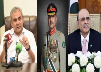 وزیر داخلہ محسن نقوی کا صدر کے استعفیٰ اور آرمی چیف کی صدارت کے حوالے سے ردعمل