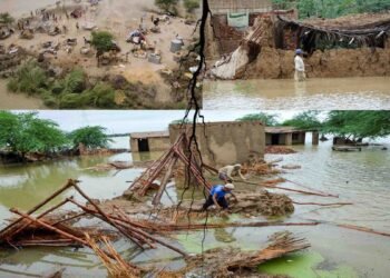 اوکاڑہ میں موسلادھار بارش کے بعد سڑکیں مکمل زیر آب، شہری شدید مشکلات کا شکار