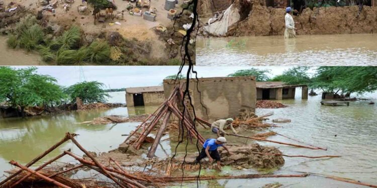 اوکاڑہ میں موسلادھار بارش کے بعد سڑکیں مکمل زیر آب، شہری شدید مشکلات کا شکار