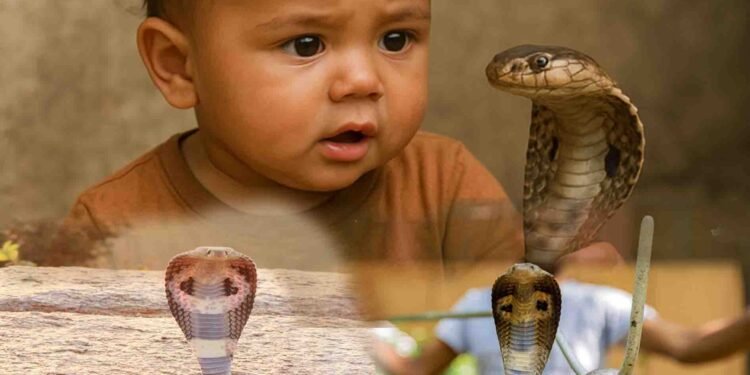 ایک سالہ بھارتی بچے نے کھیلتے ہوئے زہریلے کوبرا سانپ کو کاٹ کر مار دیا۔