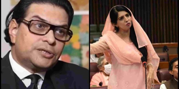 سلمان اکرم راجا میڈیا سے گفتگو کرتے ہوئے، عالیہ حمزہ کے بیان پر برہم