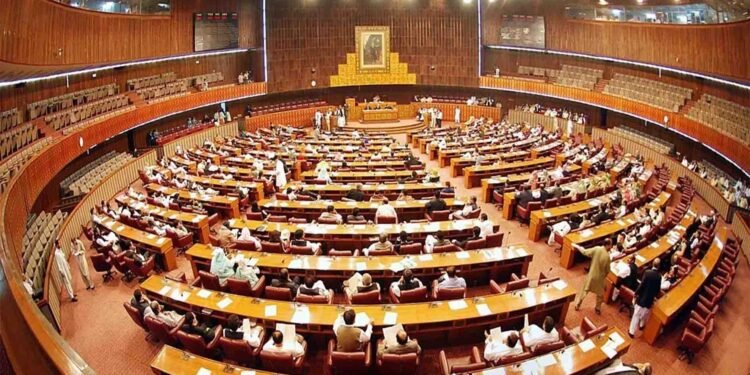 سینیٹ اجلاس کے دوران قانون سازی، خواتین پر تشدد کے مقدمات پر بحث