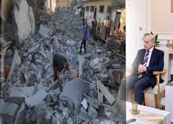 "وزیراعظم شہباز شریف فلسطین پر اسرائیلی مظالم کے خلاف اظہار یکجہتی کرتے ہوئے"