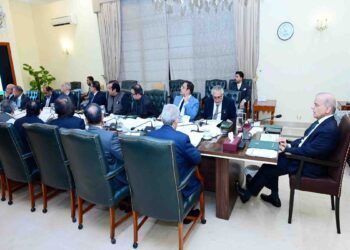 وزیراعظم شہباز شریف اعلیٰ سطحی کمیٹی کے اجلاس کی صدارت کرتے ہوئے