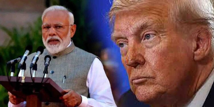 لابنگ فرم کی خدمات