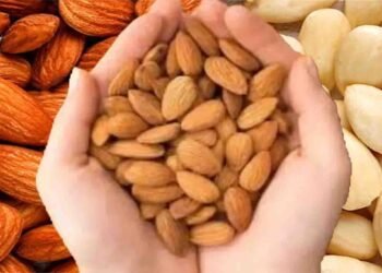 زیادہ بادام کھانا:زیادہ بادام کھانے سے دماغی صحت بہتر اور بڑھاپے میں یادداشت محفوظ رہتی ہے