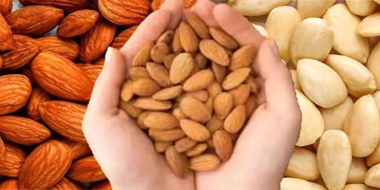 زیادہ بادام کھانا:زیادہ بادام کھانے سے دماغی صحت بہتر اور بڑھاپے میں یادداشت محفوظ رہتی ہے