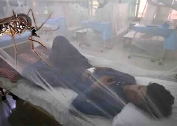 راولپنڈی میں انسدادِ ڈینگی ٹیم کا لاروا تلاش کرنے کا عمل