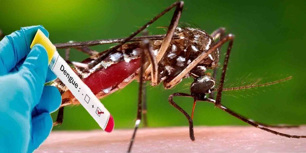اسلام آباد میں ڈینگی ٹیسٹ فیس مقرر – شہری لیبارٹری میں ٹیسٹ کراتے ہوئے