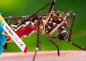 اسلام آباد میں ڈینگی ٹیسٹ فیس مقرر – شہری لیبارٹری میں ٹیسٹ کراتے ہوئے