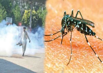 ڈینگی اسلام آباد میں 13 نئے کیسز رپورٹ