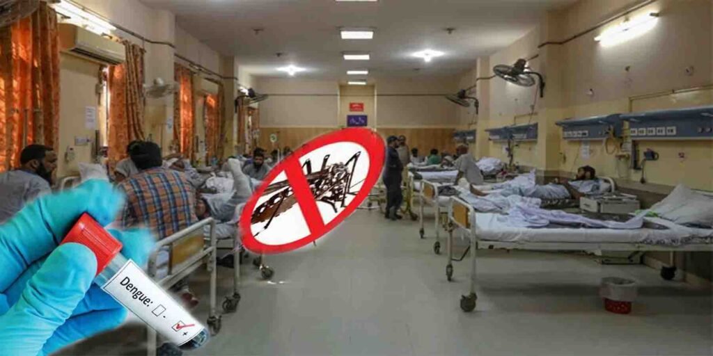 راولپنڈی ڈینگی صورتحال 2025 — مریضوں کی تعداد اور حکومتی اقدامات کی تفصیلی رپورٹ