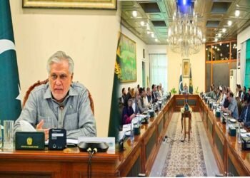 نائب وزیراعظم اسحاق ڈار SAP اسٹیئرنگ کمیٹی اجلاس کی صدارت کرتے ہوئے