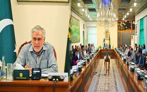 نائب وزیراعظم اسحاق ڈار SAP اسٹیئرنگ کمیٹی اجلاس کی صدارت کرتے ہوئے