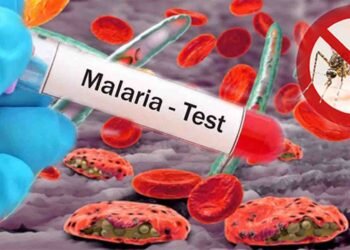 سندھ میں حالیہ بارشوں کے بعد ملیریا کے کیسز میں اضافہ اور متاثرہ علاقوں میں صفائی کی صورتحال