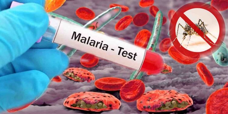 سندھ میں حالیہ بارشوں کے بعد ملیریا کے کیسز میں اضافہ اور متاثرہ علاقوں میں صفائی کی صورتحال