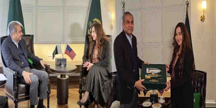 وزیر داخلہ محسن نقوی سے امریکا کی سفیر نیٹلی بیکر نے ملاقات کی