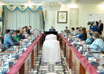 پاکستان میں 24 سرکاری اداروں کی نجکاری کا اعلان