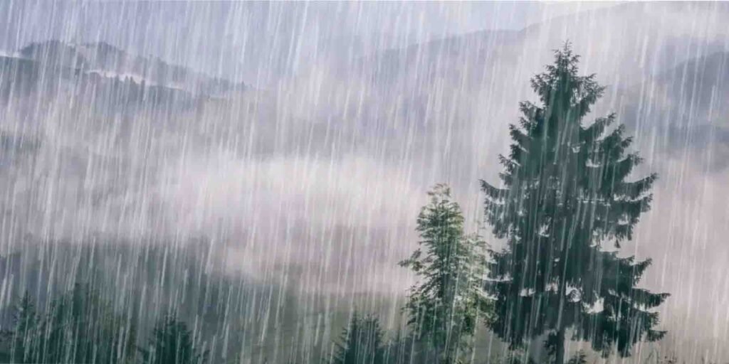 ‫29 اگست تا 2 ستمبر بارش کی پیشگوئی – پاکستان میں موسلادھار بارشوں اور ممکنہ خطرات کی تفصیل‬