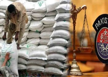 راولپنڈی میں پولیس کی کامیاب کارروائی، 700 بوری چینی برآمد