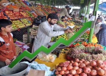 سیلاب کے ملکی معیشت پر اثرات اور مہنگائی میں اضافہ