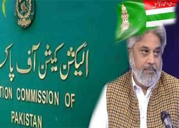 صاحبزادہ حسن رضا سنی اتحاد کونسل کے قائم مقام چیئرمین مقرر