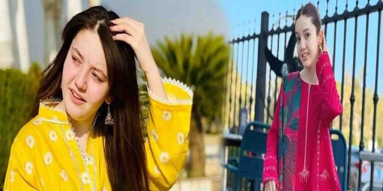 ٹک ٹاکر ثناء یوسف قتل کیس: چالان عدالت کو بھیج دیا گیا، 31 گواہان شامل