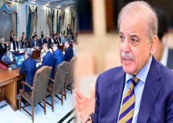 فلڈنگ سے بہت جانی و مالی نقصان ہوا:وزیراعظم