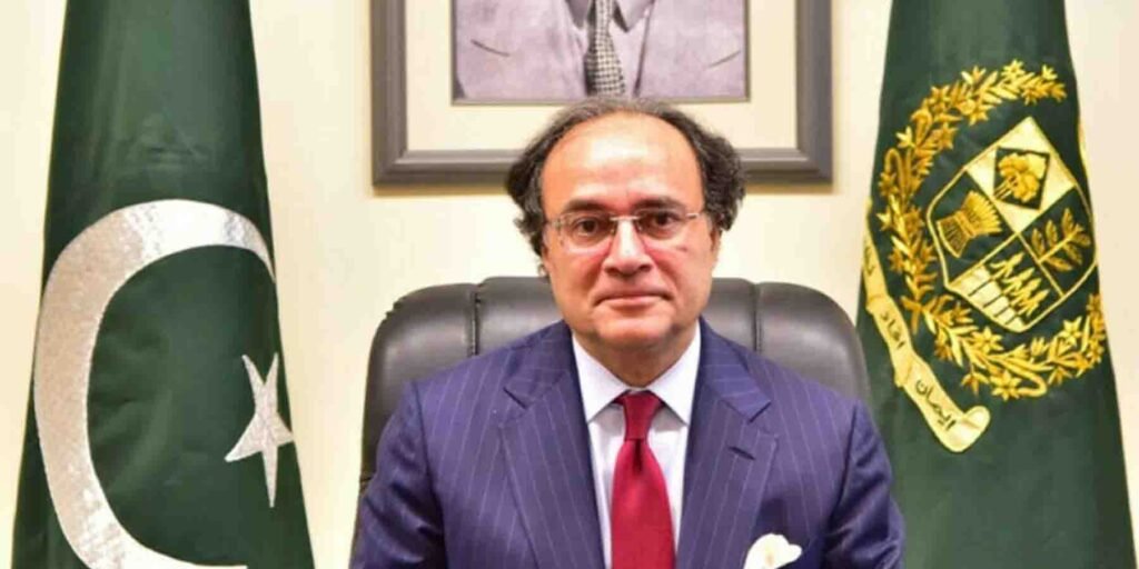 پی آئی اے کی نجکاری جلد متوقع، وزیر خزانہ کا اعلان