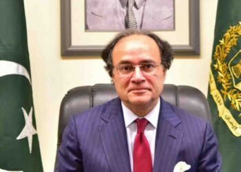 پی آئی اے کی نجکاری جلد متوقع، وزیر خزانہ کا اعلان