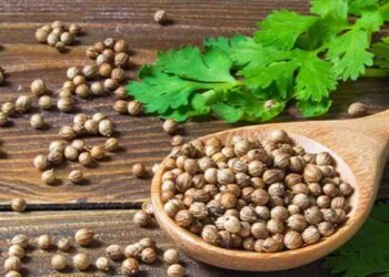 دھنیا کے فوائد