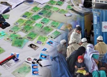 افغان مہاجرین جعلی شناختی کارڈ