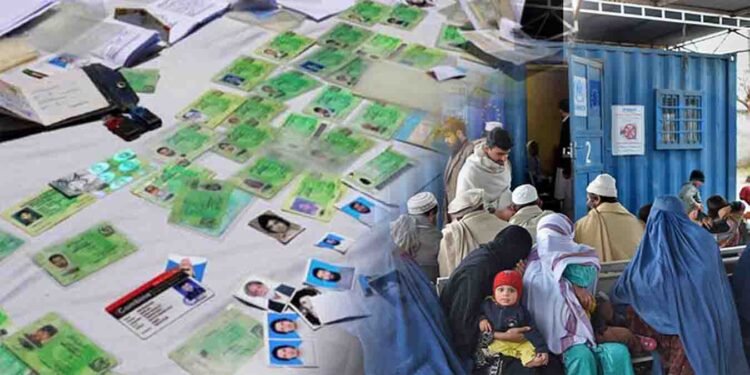 افغان مہاجرین جعلی شناختی کارڈ
