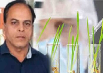 ڈاکٹر عابد رضا