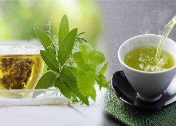 خوبصورت بالوں کیلئے گرین ٹی کے فوائد اور استعمال