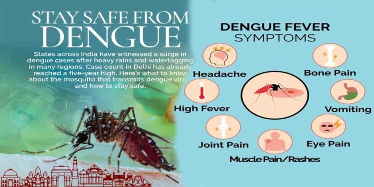 ڈینگی کیسز میں اضافہ – اسلام آباد اور راولپنڈی میں ڈینگی مریض