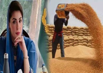 پنجاب حکومت کا گندم کی ذخیرہ اندوزی کے خلاف بڑا فیصلہ