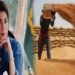 پنجاب حکومت کا گندم کی ذخیرہ اندوزی کے خلاف بڑا فیصلہ