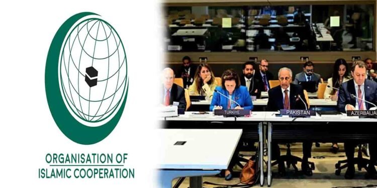 او آئی سی رابطہ گروپ کشمیر اجلاس میں مسئلہ کشمیر پر اظہار خیال