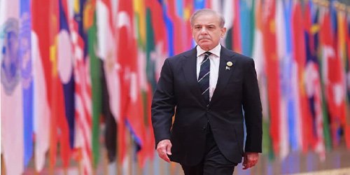 شہباز شریف شنگھائی تعاون تنظیم اجلاس 2025 کے موقع پر
وزیراعظم شہباز شریف کی چینی صدر سے ملاقات