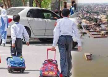 سیالکوٹ کے سرکاری سکولز