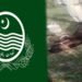 گجرات بھینس پر تشدد، نامعلوم افراد نے ٹانگیں کاٹ دیں