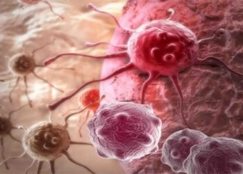 کینسر سے بچاؤ کے لیے تیز چہل قدمی کی عادت