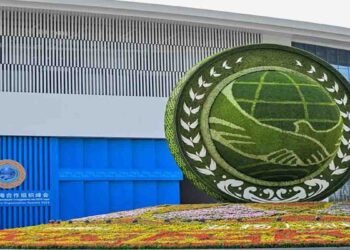 چینی صدر شنگھائی تعاون تنظیم اجلاس میں خطاب کرتے ہوئے