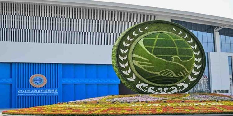 چینی صدر شنگھائی تعاون تنظیم اجلاس میں خطاب کرتے ہوئے